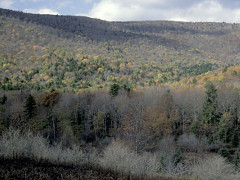 Black Mountain from Cowpasture Trail