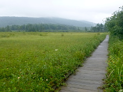 Boardwalk