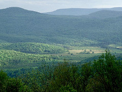 Cranberry Glades from Black Mountain