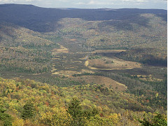 Cranberry Glades from Kennison Mountain