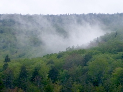 Fog over Kennison Mountain